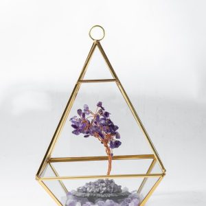 Fortune & Money Tree Crystal Set